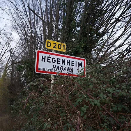 Arrow Hotel Hegenheim