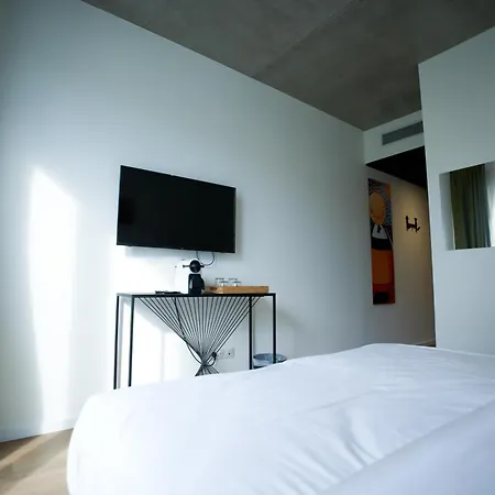 Arrow Euroairport Bale Mulhouse Hotel
