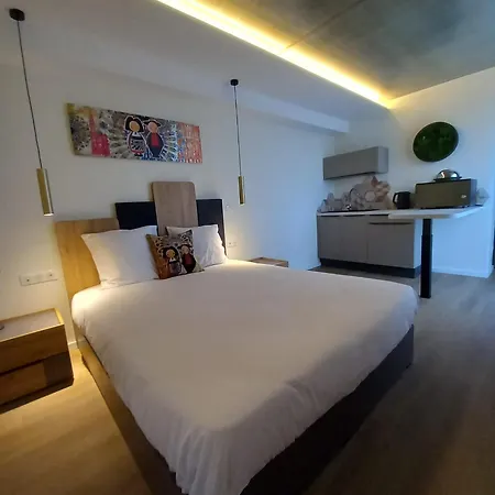 فندق Arrow Euroairport Bale Mulhouse 3*